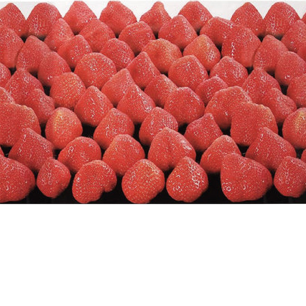 ビニール幕 いちご H600×50m巻 1本入— ウリサポ