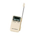 デジタル電子温度計 PC-9200 1台入